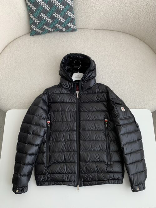 「#2509」Moncler Montbeliard down jacket