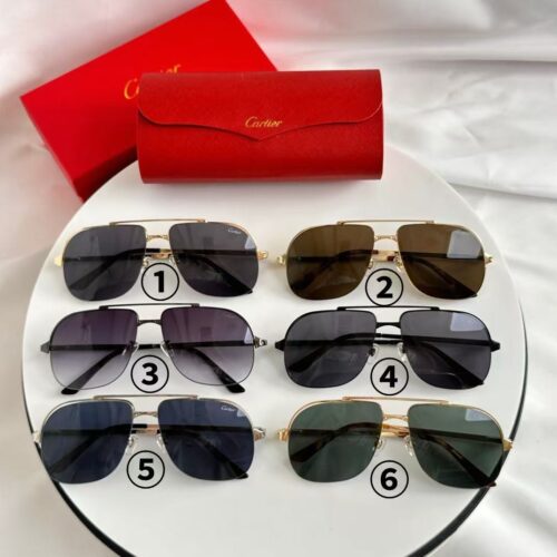 「#2937」Cartier sunglasses