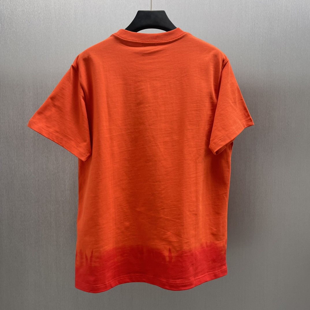 「#4375」Dior-CD Year of the Snake Limited Edition Colorful Embroidered Short Sleeves - 图片 2