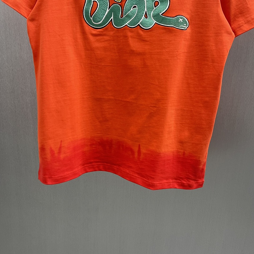 「#4375」Dior-CD Year of the Snake Limited Edition Colorful Embroidered Short Sleeves - 图片 4