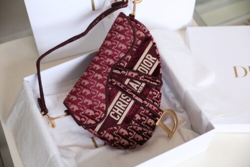 Dior - Saddle