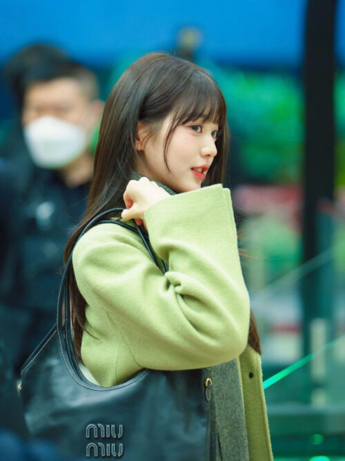 Miu Miu - Ivy