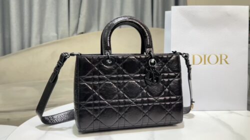 Dior - Lady D-Sire