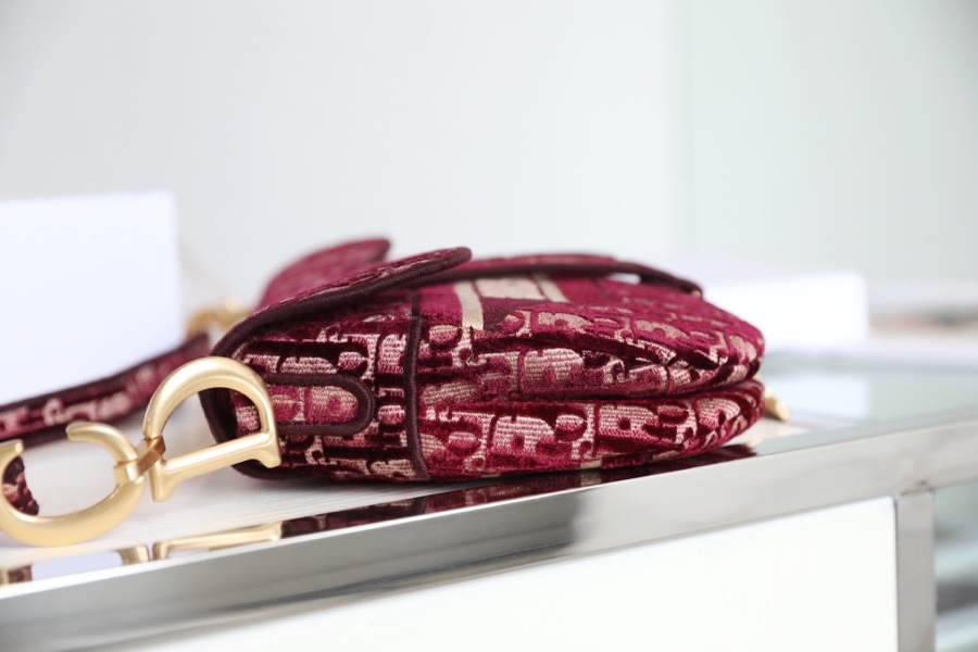 Dior - Saddle - Image 5