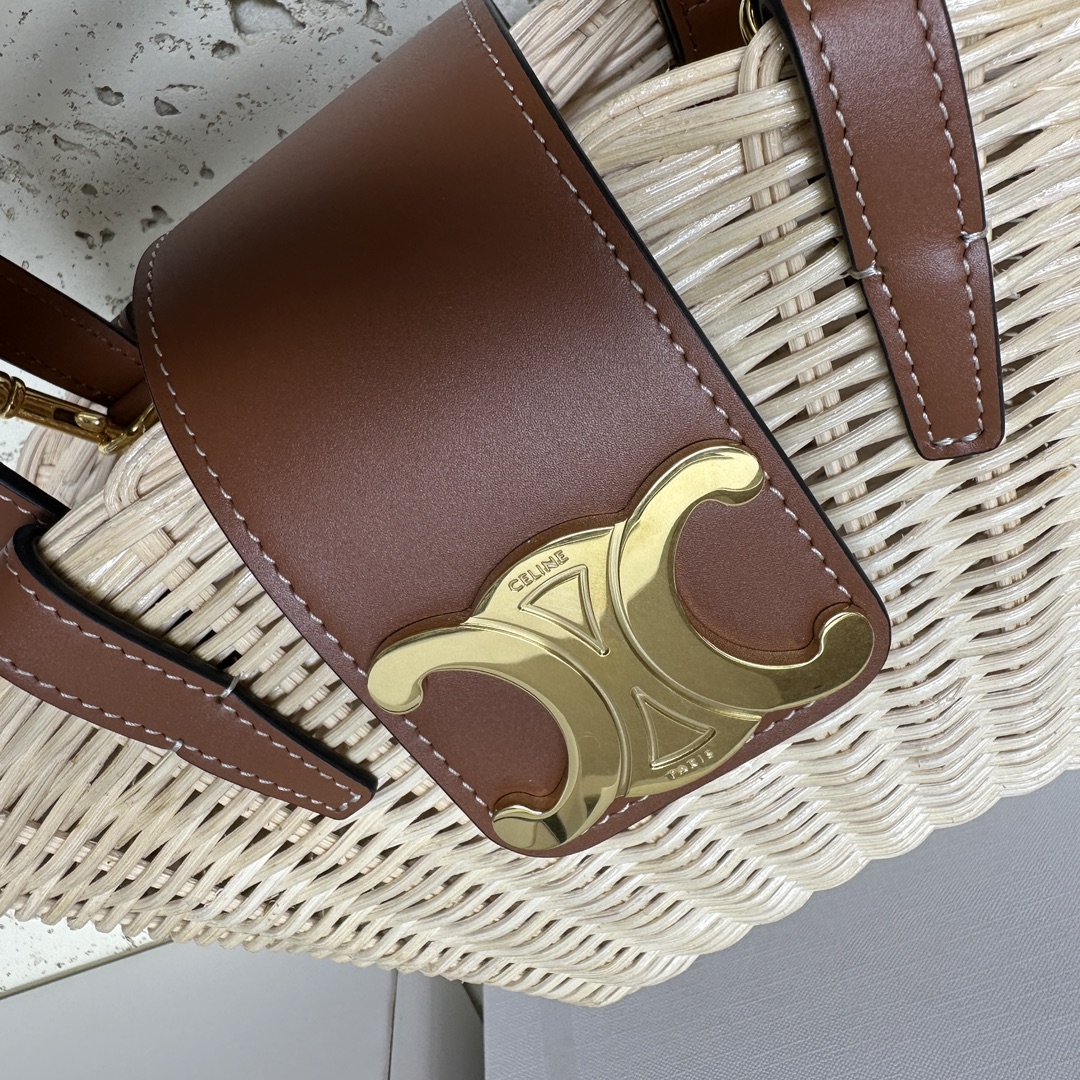 Celine - Triomphe - Image 6