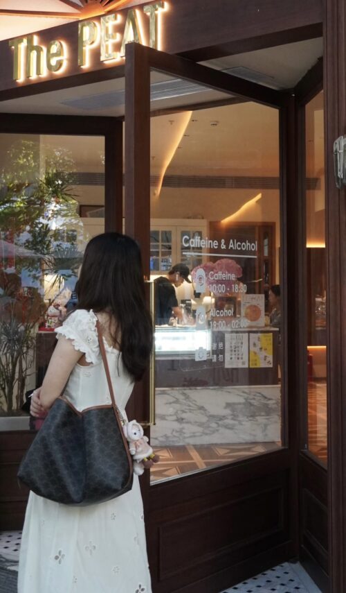 Celine - Soft Shopper