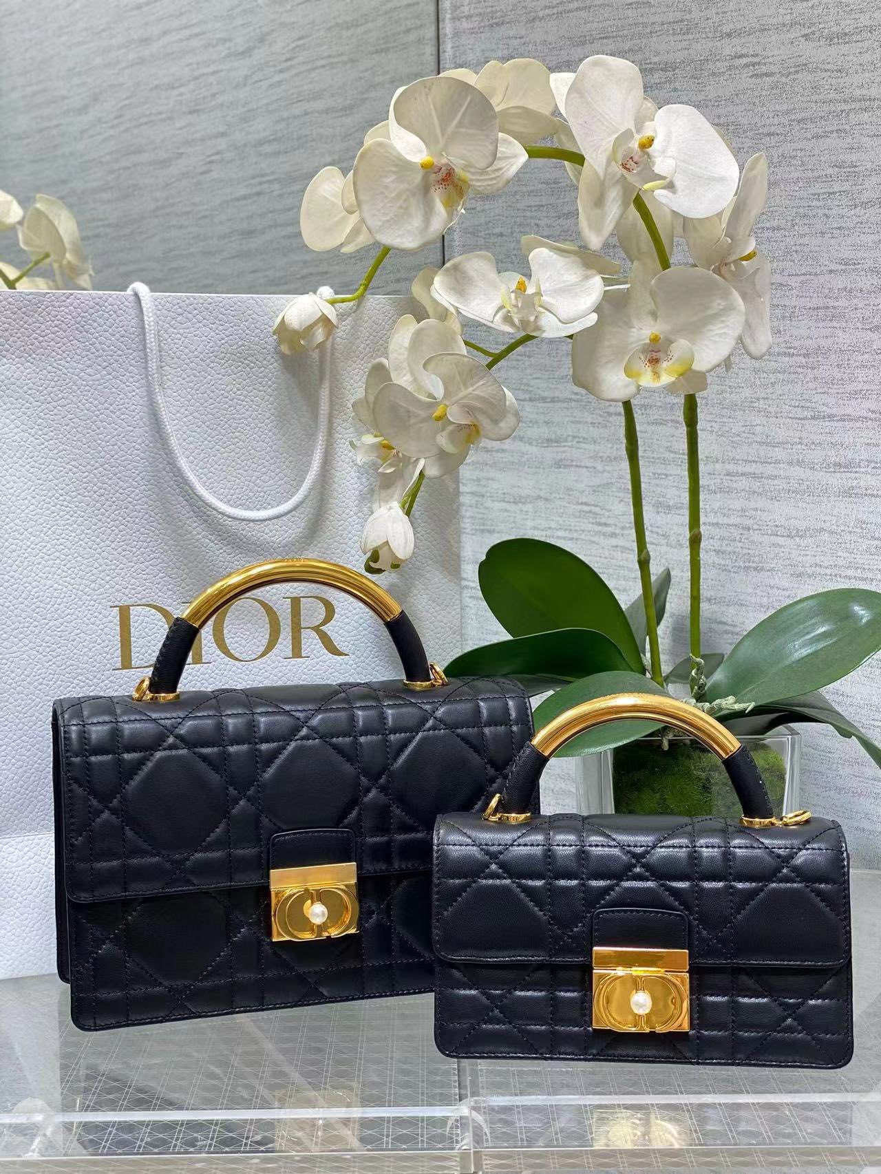 Dior - Crossbody Bag - Image 4