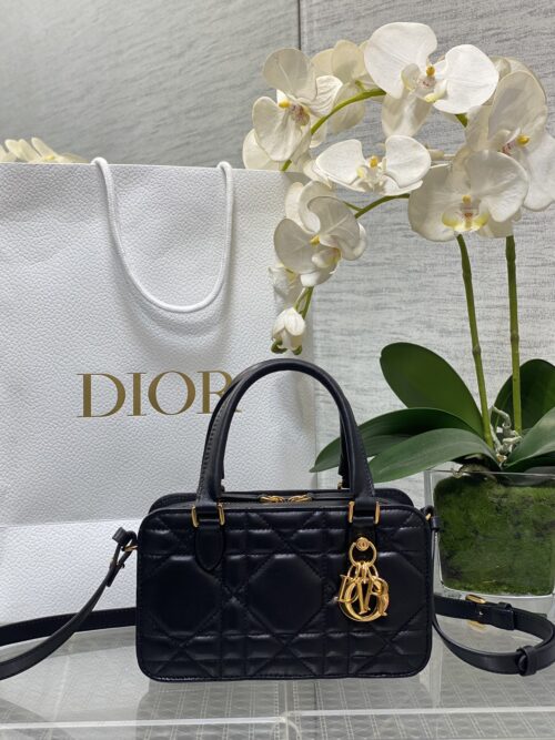 Dior - Doctor Bag