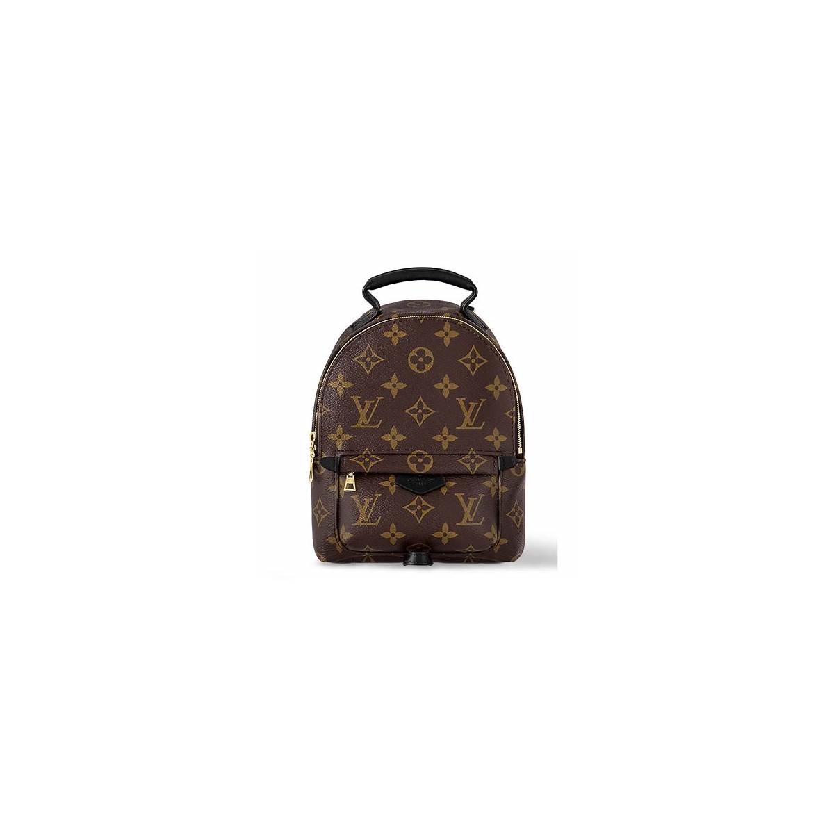 Louis Vuitton - Palm Springs - Palm Springs Mini Backpack - Image 3