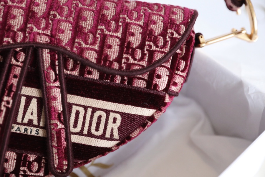 Dior - Saddle - Image 4