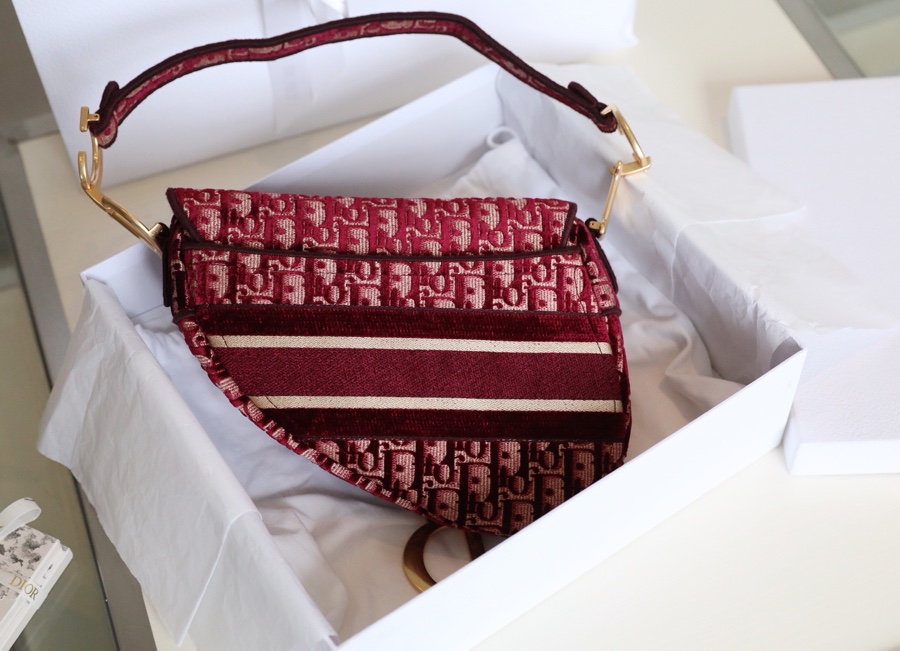Dior - Saddle - Image 7