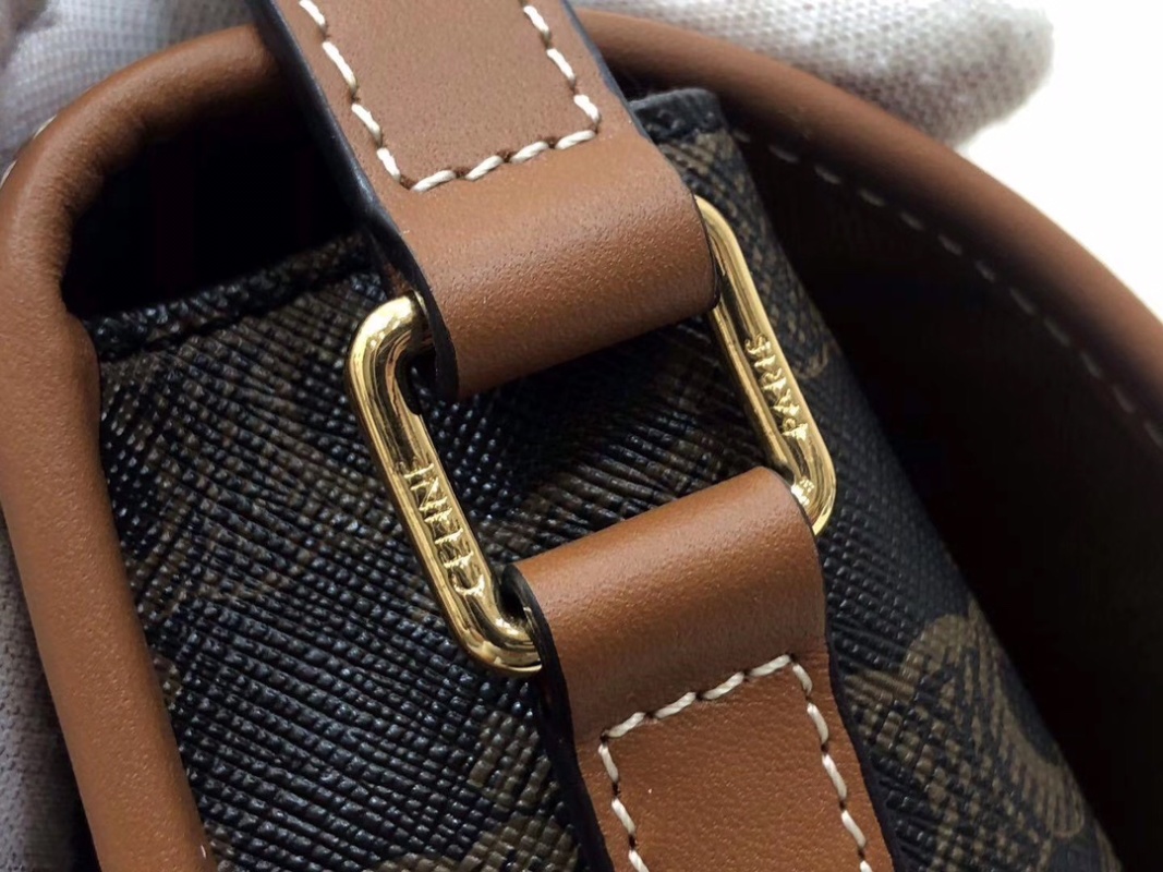 Celine - Triomphe - Image 4
