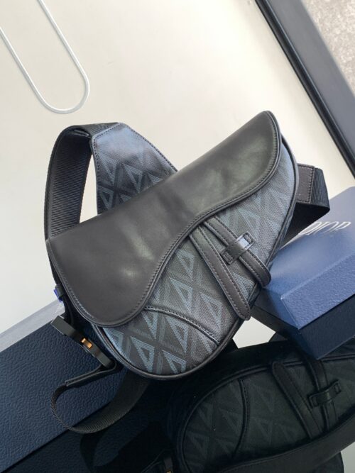 Dior - Saddle