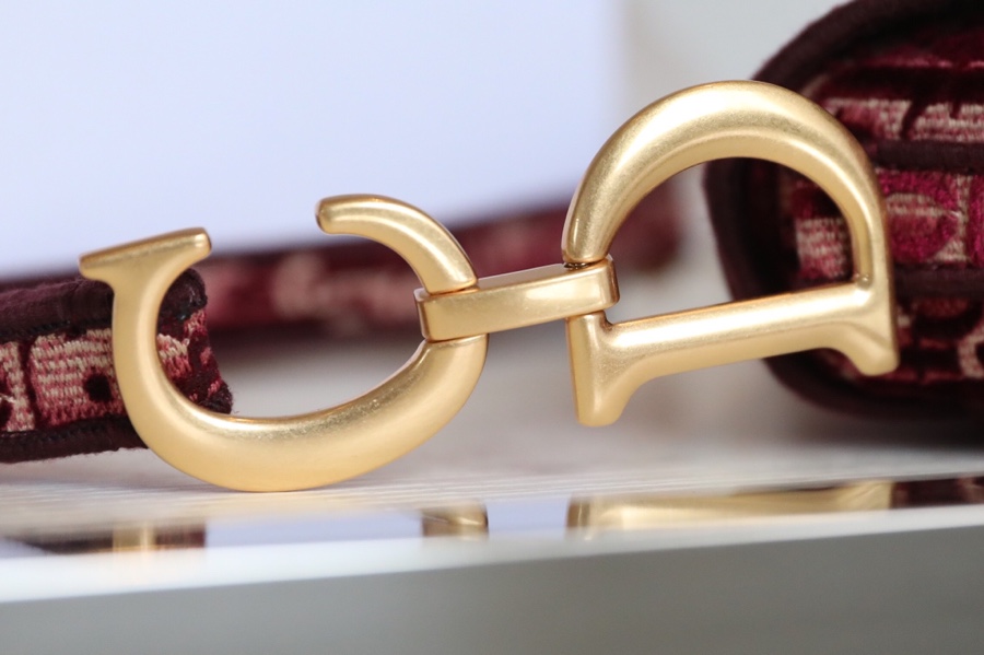 Dior - Saddle - Image 6