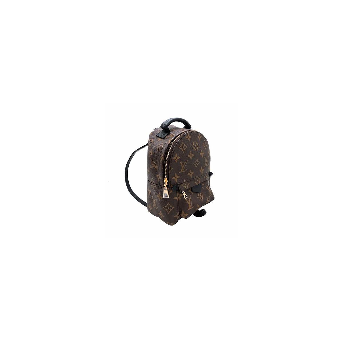 Louis Vuitton - Palm Springs - Palm Springs Mini Backpack - Image 6